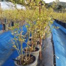 주동농장 이미지