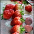 김용선 농장 이미지