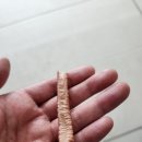 개판살판 이미지