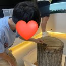 [경남 창녕/곤충체험] 창녕우포곤충나라, 대구...곤충을 직접 손으로 만지고 느낄 수 있는 곳...
