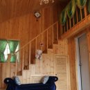 가평향기펜션 이미지