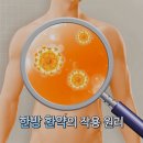 샬롬한의원 네이버블로그