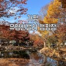 씨유 가평본점 | 가평 반려동물과 함께하는 뷰 좋은 [유명산밸리캠핑장]
