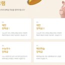 수시코스 이미지