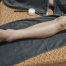 더바디스 이미지