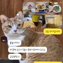 석세스짐 아주대점 | 석세스짐 아주대점에서의 인생 첫 PT 후기