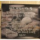 세타이수루 이미지