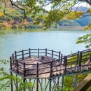 수옥정관광지 수변산책로 | 충북 괴산 가을 단풍 명소! 수옥정 원풍저수지 둘레길 수변공원 산책로