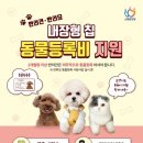 쿠키동물병원 이미지