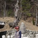 석운사 이미지