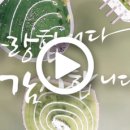 순천만 힐링 이미지