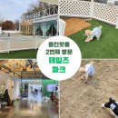 용인 핫 플 라면 맛집 테일즈 파크 두 번째 방문