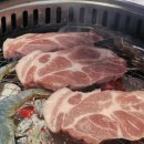 별을 담은 숲 이미지