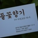 들꽃칼국수
