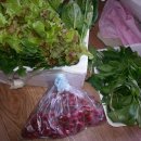 정성철농장 이미지