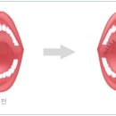 법인두그린