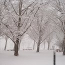 정촌농장 이미지