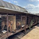 마리농장 이미지