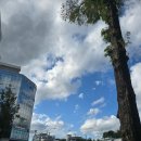 이마트24 유성매드블럭점 | 걸으면서 느끼게 된 나의 출근길 대전 유성의 또 다른 아침