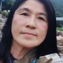 곡성-249 이미지