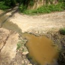 대암축산 이미지