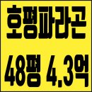 임광그대가공인중개사사무소 | 남양주 호평파라곤 아파트 48평 4억대 경매 물건