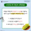 성샤인 이미지