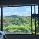 [수내 네일리브/분당네일] 네일리브 네일샵 후기
