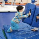 한우리 태권도 이미지