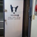 리리앤펫 네이버블로그