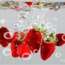 자연의향기 이미지