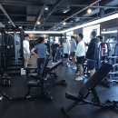 진갈매 이미지