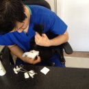 광명시티동물병원 이미지