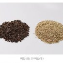 평강식당 이미지