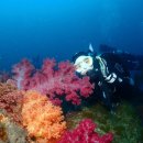 블루오션스킨스쿠버 이미지