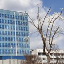 공주대학교 이미지