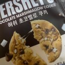 갓생살기 도전해본 이야기