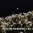 마실온