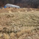 중부-현장-중부-1847 이미지