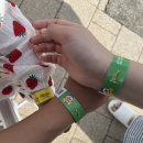 9월애 | 내돈내산 20개월 아기랑 제주/ ‘뽀로로앤타요 테마파크 제주’ 솔직 후기/ 9월 제주도
