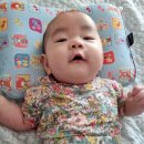 예산유지 이미지