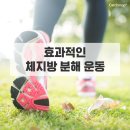 산행을 하다보면 - 선경나라 인명구조 know-how. 이미지