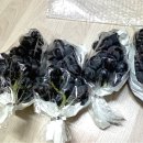 선진농원 이미지