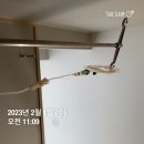 김진동삼성내과의원 이미지