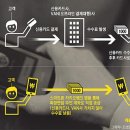 전자나무