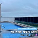 신라스테이 해운대 루프탑 수영장 성수기 이용 상세후기