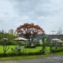 팔당카페 이미지