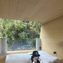 힐링캐빈 | 🌿 제주 힐링 숙소 추천｜에가톳 캐빈 내돈내산 후기