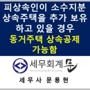피상속인이 상속인과 공동으로 소유하는 주택과 공동상속주택 소수지분 보유시 동거주택 상속공제 적용...