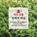 힘든 매실 손질은 그만! 씨 제거된 광양 쪼갠매실로 쉽게 담그는 매실장아찌